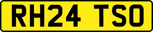 RH24TSO
