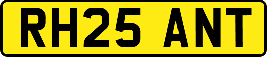 RH25ANT