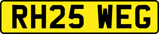 RH25WEG