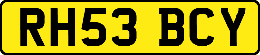 RH53BCY