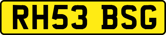 RH53BSG