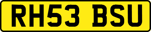 RH53BSU