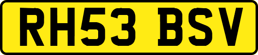 RH53BSV