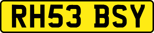 RH53BSY