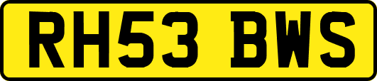 RH53BWS