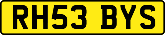 RH53BYS