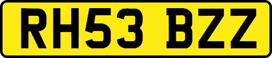 RH53BZZ