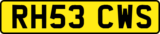 RH53CWS