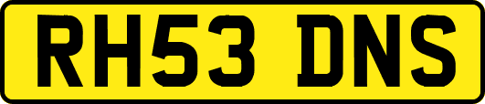 RH53DNS