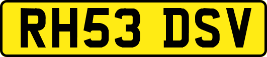 RH53DSV