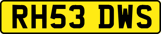 RH53DWS