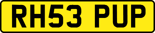 RH53PUP