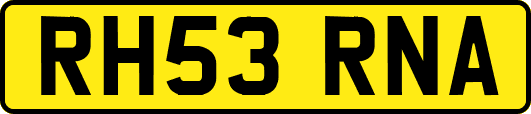RH53RNA