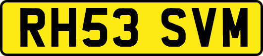 RH53SVM