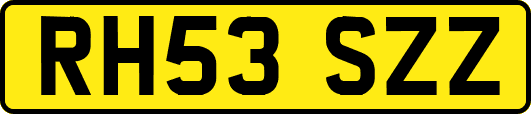 RH53SZZ