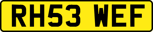 RH53WEF