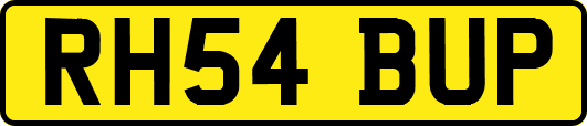 RH54BUP