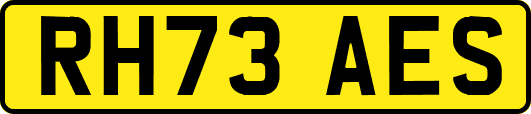 RH73AES
