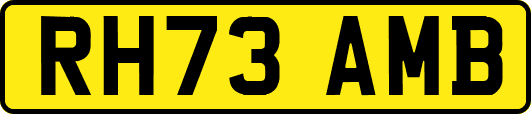 RH73AMB