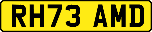 RH73AMD