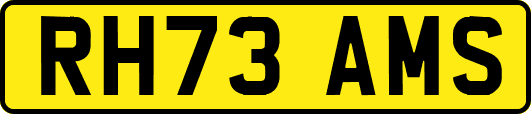 RH73AMS