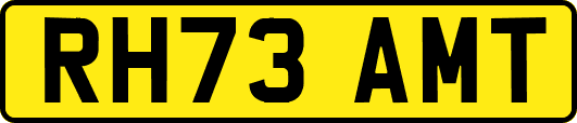 RH73AMT