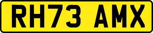 RH73AMX