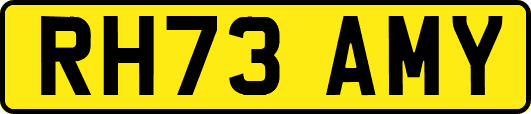 RH73AMY