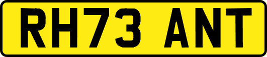 RH73ANT