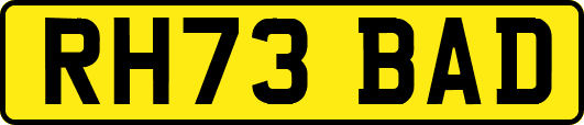 RH73BAD