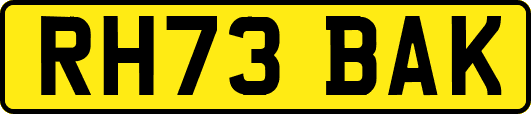 RH73BAK