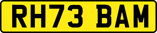 RH73BAM