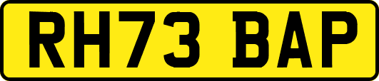 RH73BAP