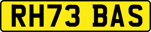 RH73BAS