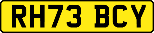 RH73BCY