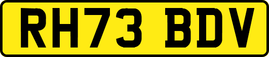 RH73BDV
