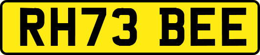 RH73BEE