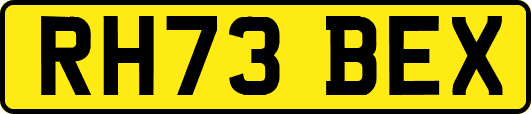 RH73BEX