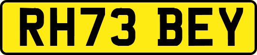 RH73BEY