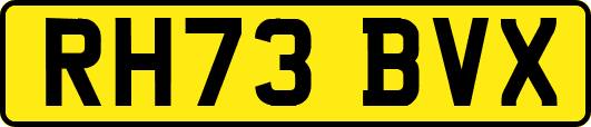 RH73BVX