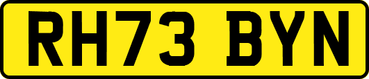 RH73BYN