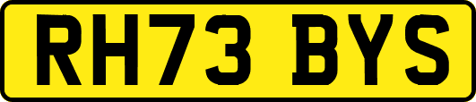 RH73BYS