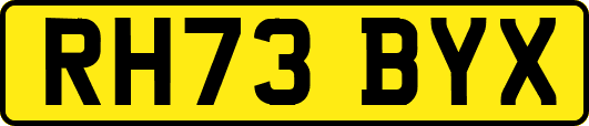 RH73BYX