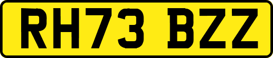 RH73BZZ