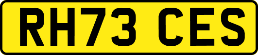 RH73CES