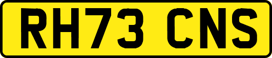 RH73CNS