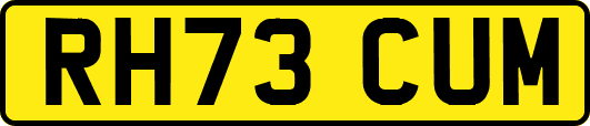 RH73CUM