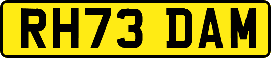 RH73DAM