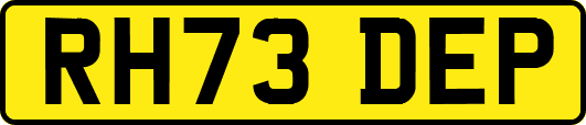 RH73DEP