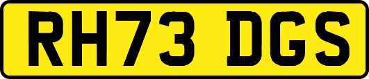 RH73DGS